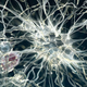 Illustration for article titled Have we been looking at Multiple Sclerosis all wrong?